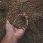 First soil map of terrestrial and blue carbon highlights need for conservation