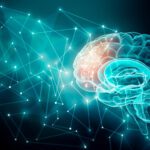 Human brain activity with plexus lines.. External cerebral connections in the frontal lobe. Communication, psychology, artificial intelligence or AI, neuronal informations or cognition concepts illustration with copy space.