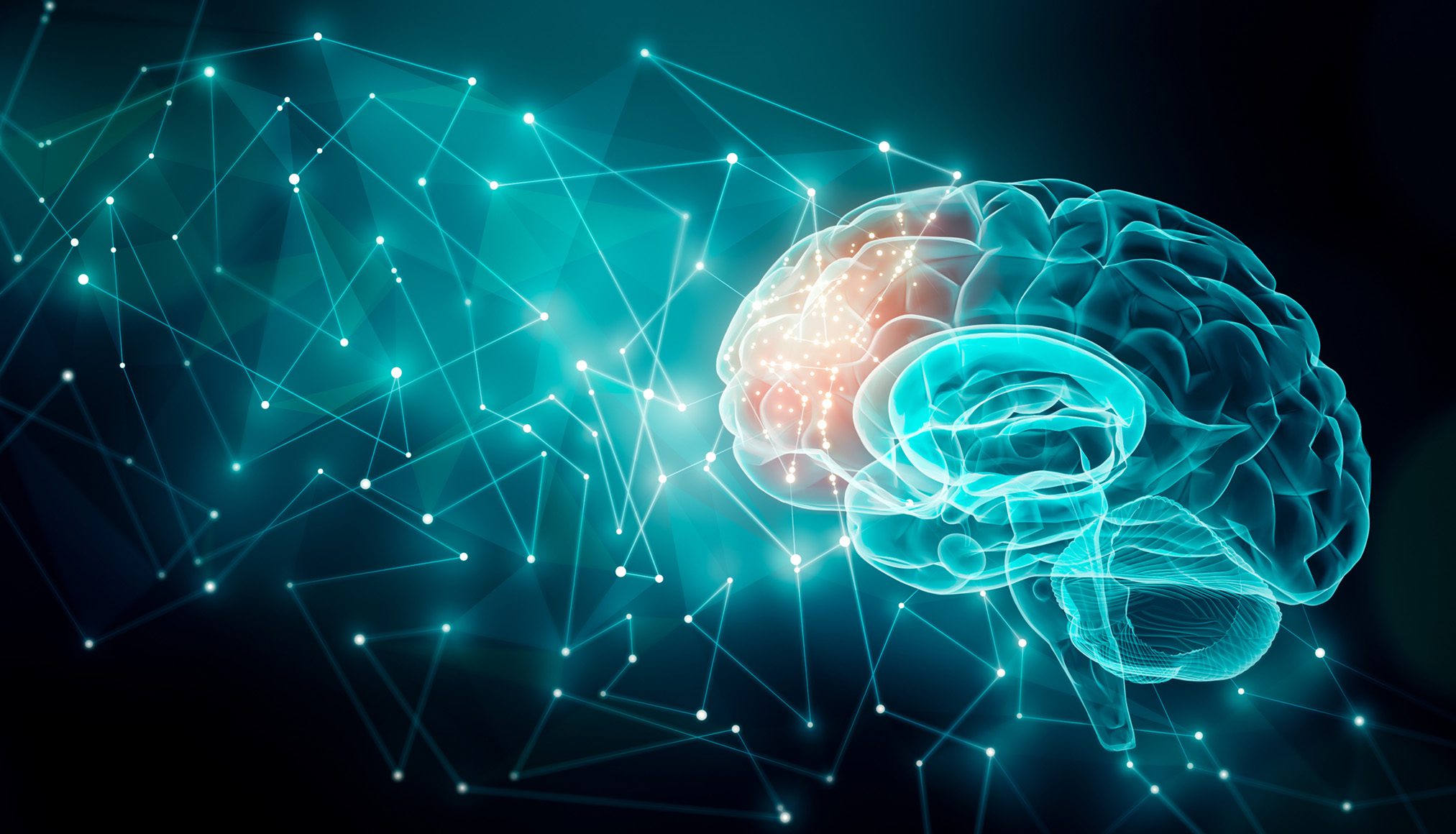 Human brain activity with plexus lines.. External cerebral connections in the frontal lobe. Communication, psychology, artificial intelligence or AI, neuronal informations or cognition concepts illustration with copy space.