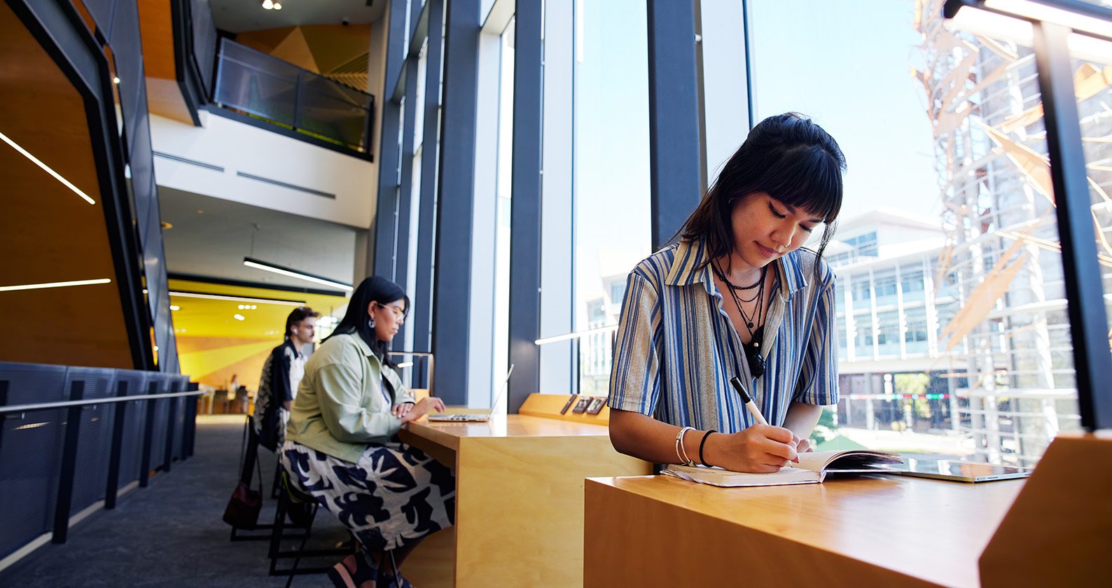 Student sitting in the library studying