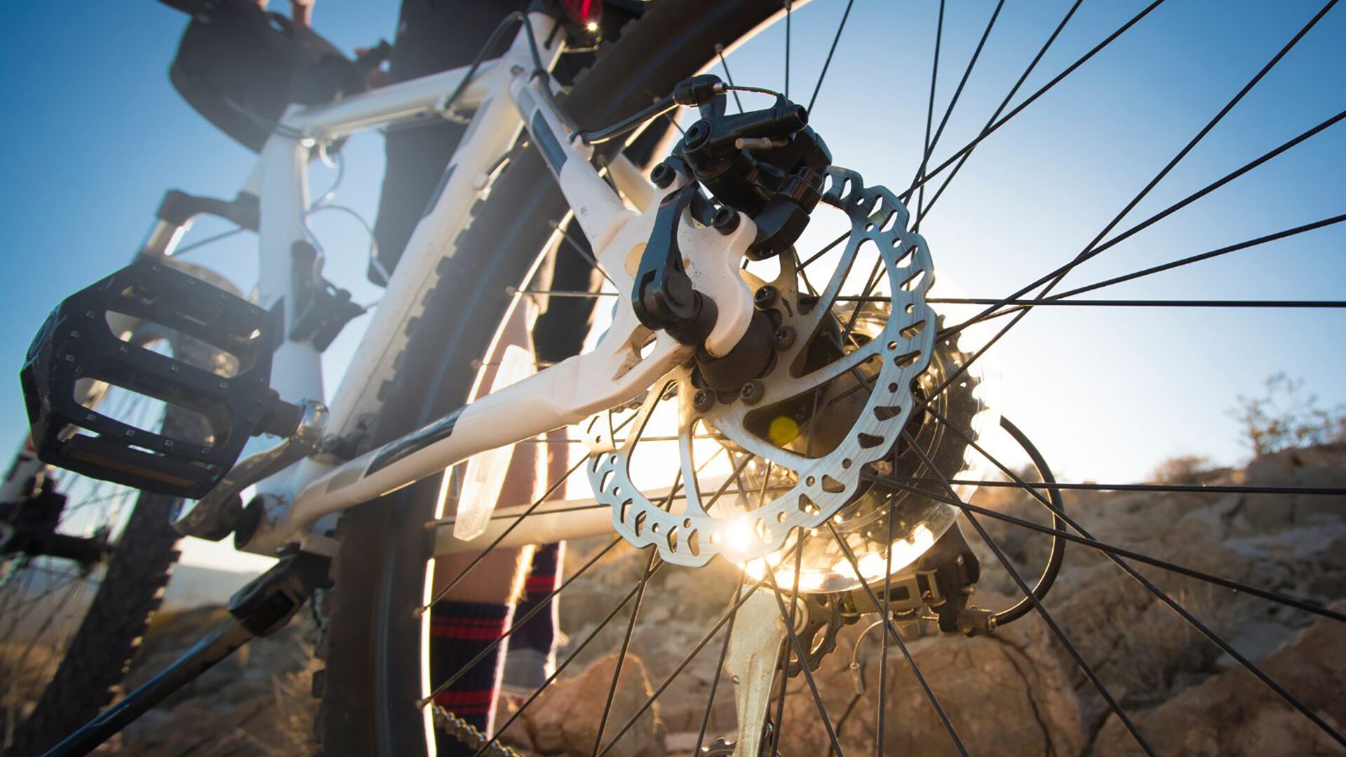 Image for Pedal power pays off: mountain biking benefits outweigh risks