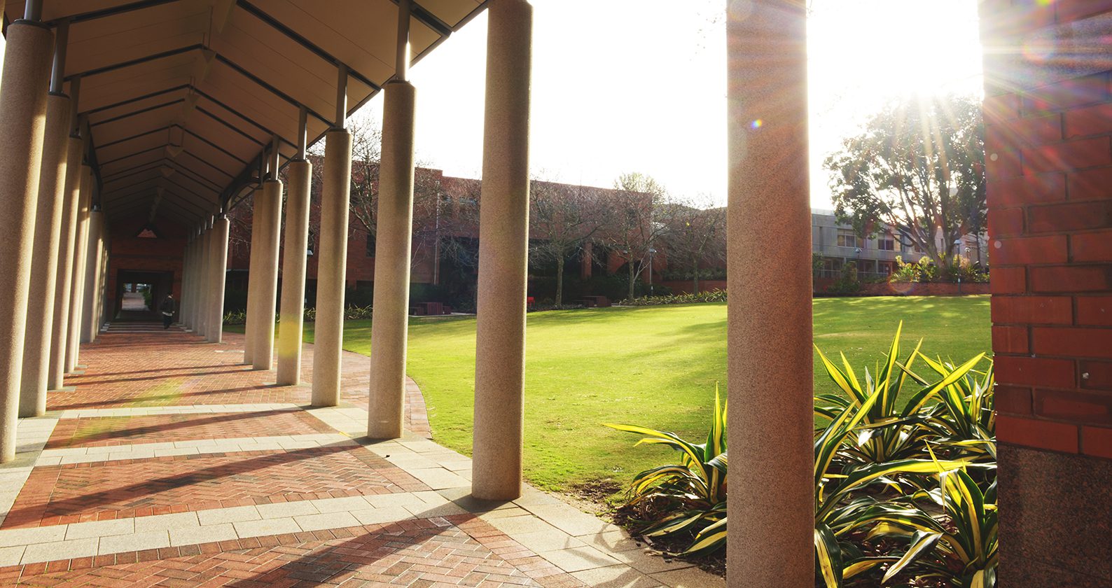 Columns at Curtin Perth campus.