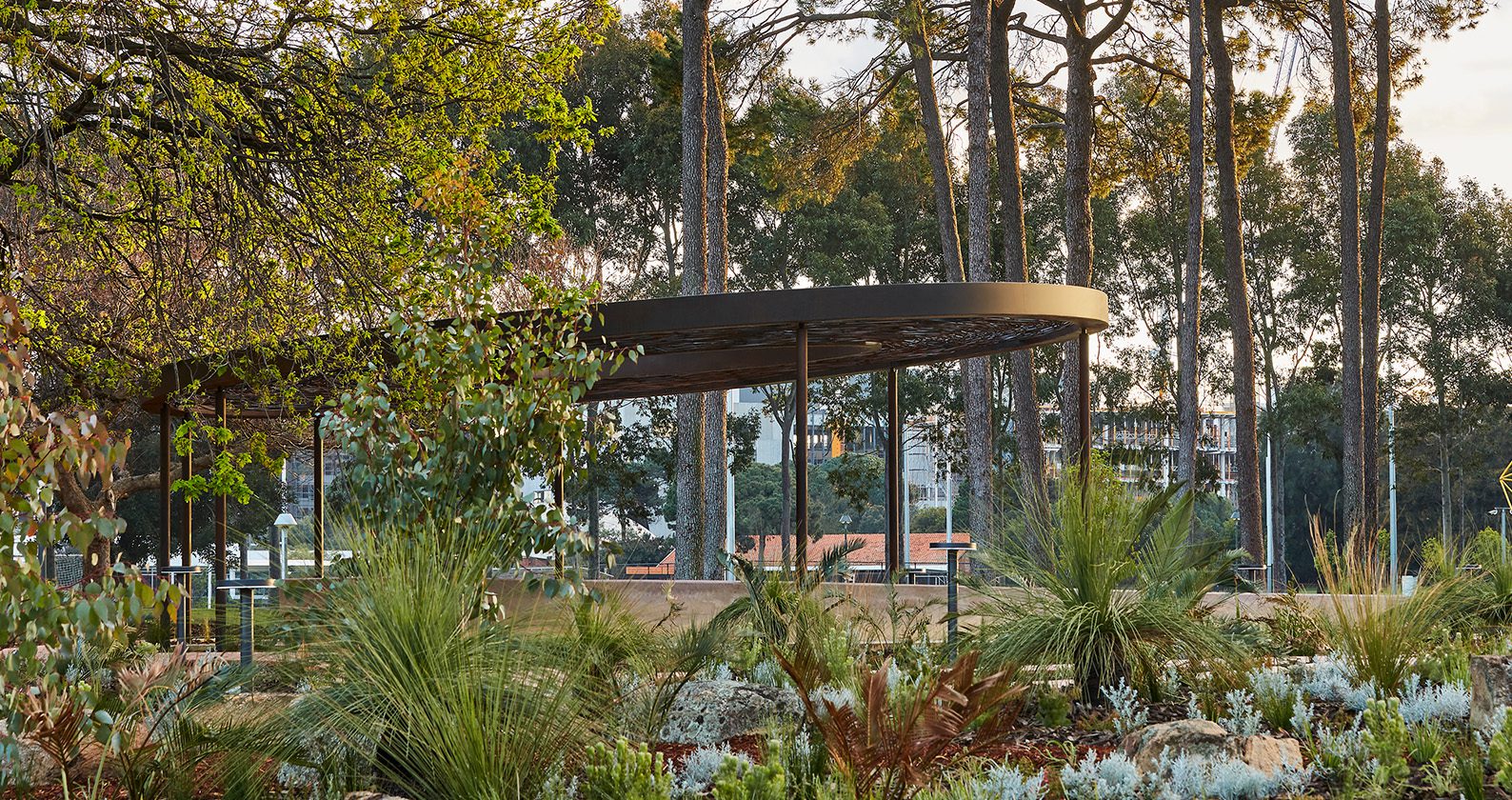 The Yarning Circle on the Curtin Perth Campus