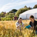 WA Agricultural Research Collaboration 2027 Honours Program applications now open