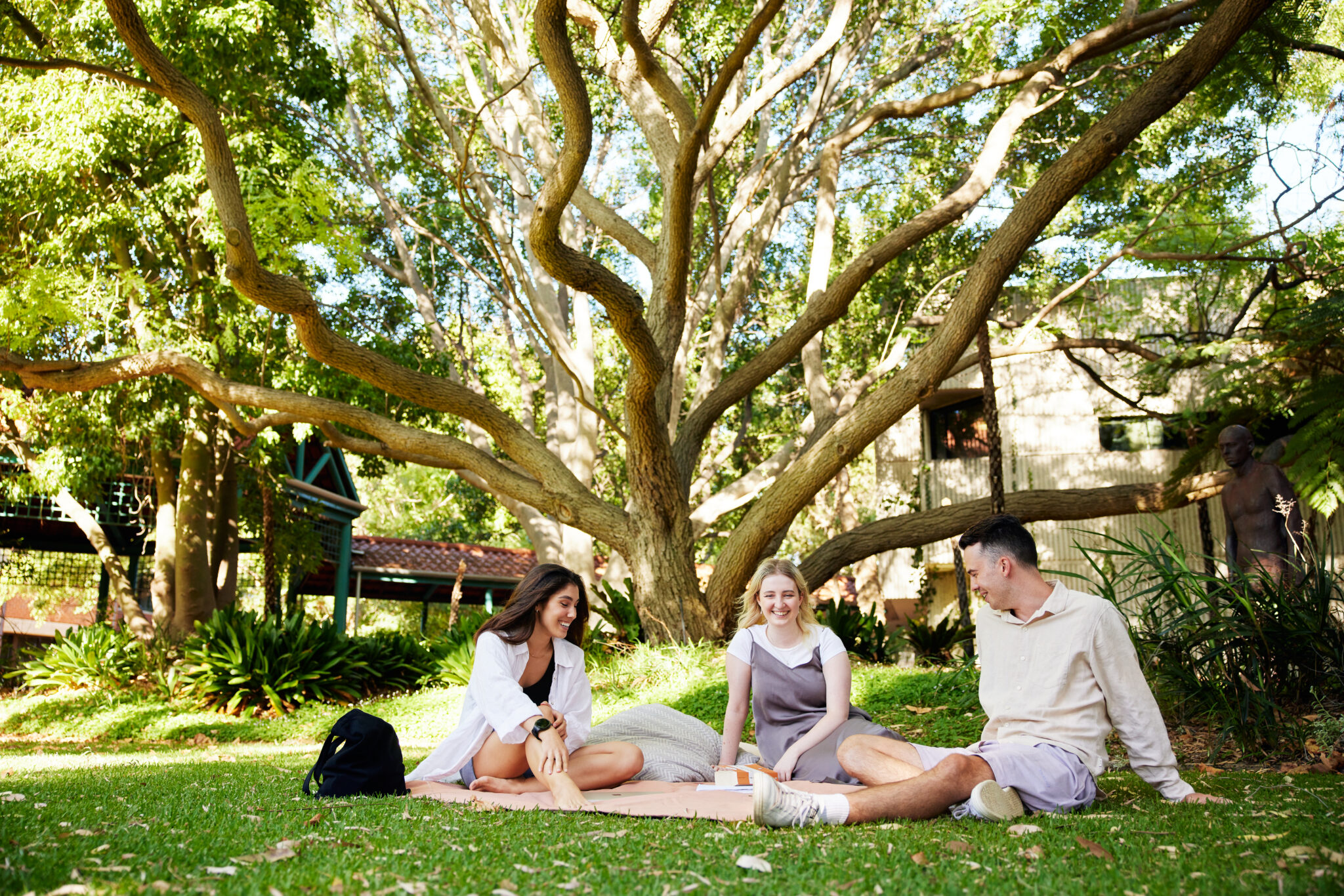 Three students sitting on the grass laughing