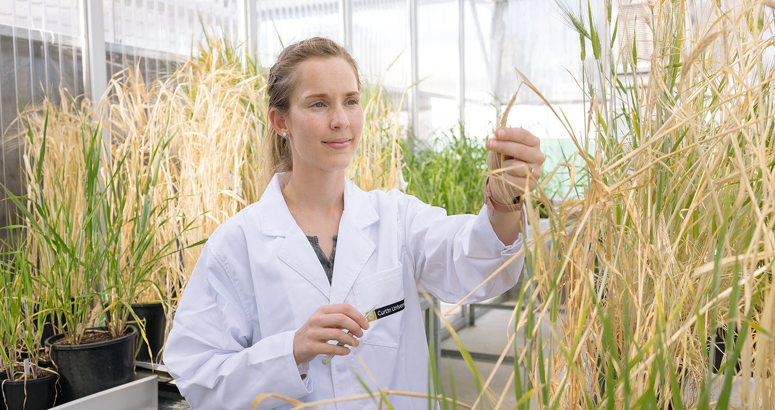 Image for A brighter tomorrow: understanding Curtin’s commitment to sustainability 