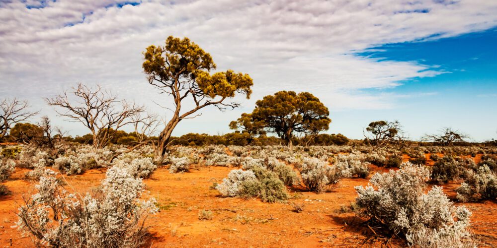 Image for Climate change will see Australia’s soil emit CO2 and add to global warming