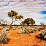 Climate change will see Australia’s soil emit CO2 and add to global warming