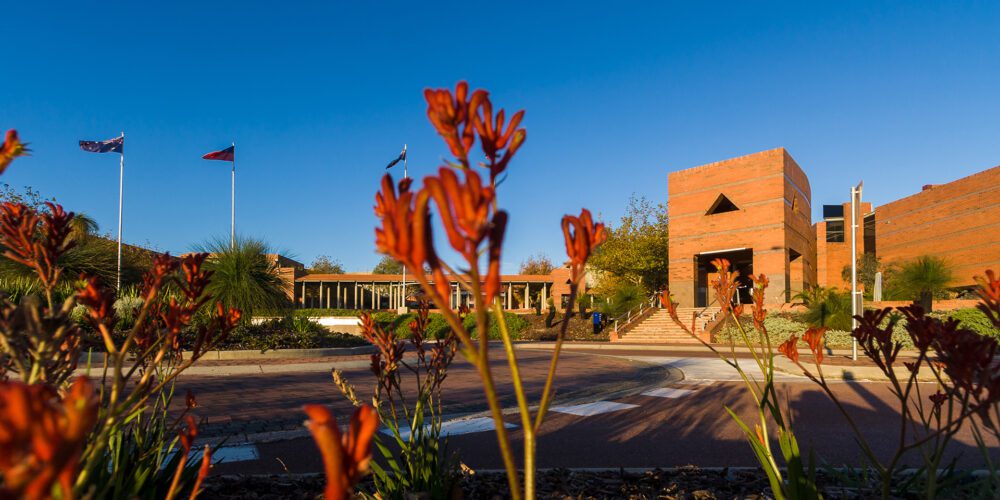 Image for Curtin shines bright in global rankings