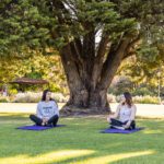 Two students sitting under a tree on lawn.