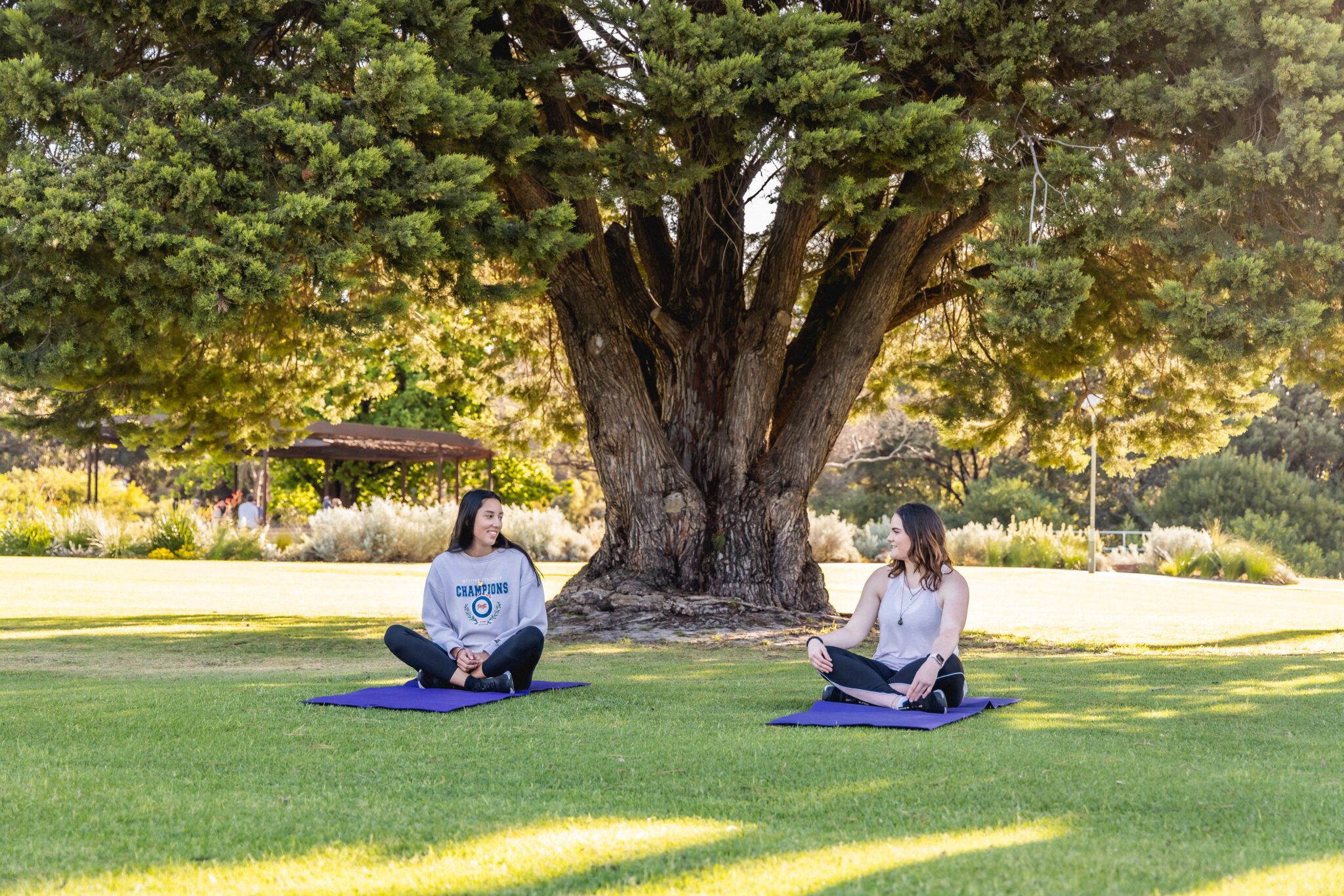Two students sitting under a tree on lawn.