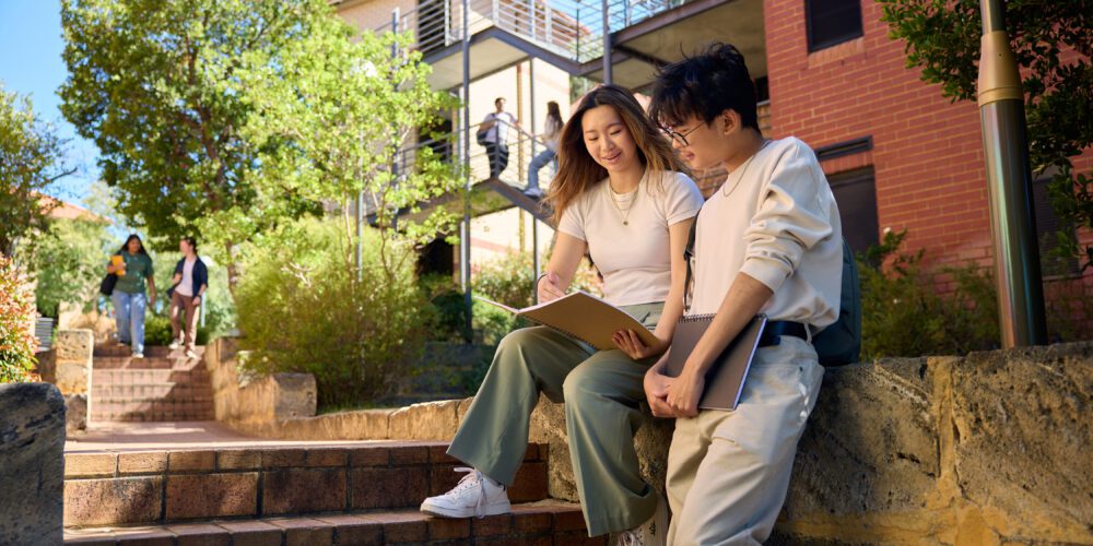 5 steps to choosing the best business degree for your dream job