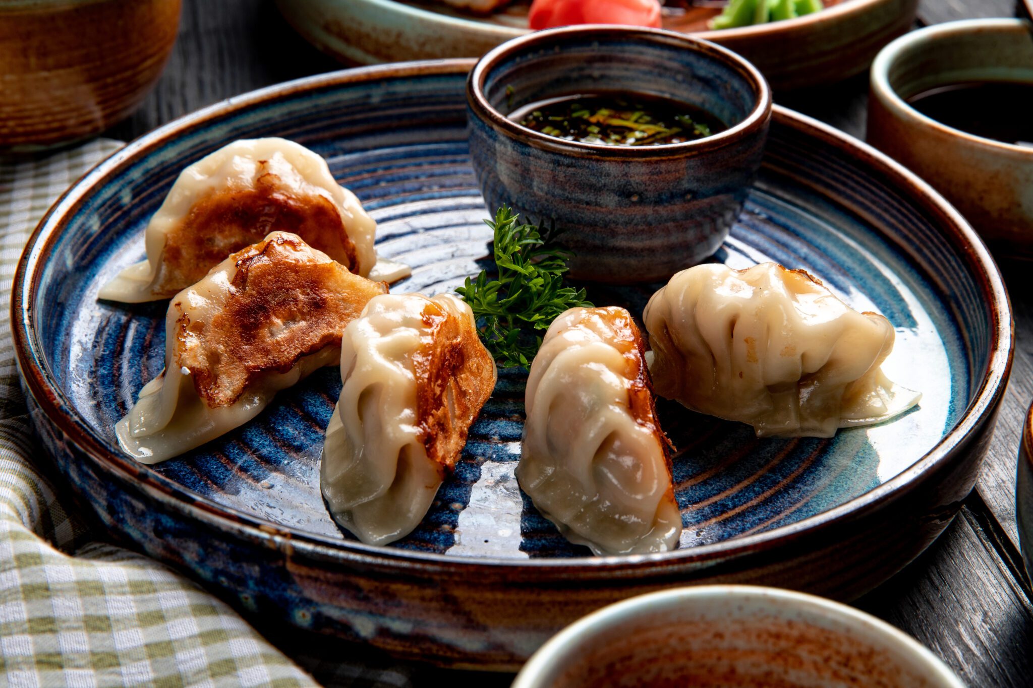 side view of traditional asian dumplings with meat and vegetables served with soy sauce on a plate on rustic background.
