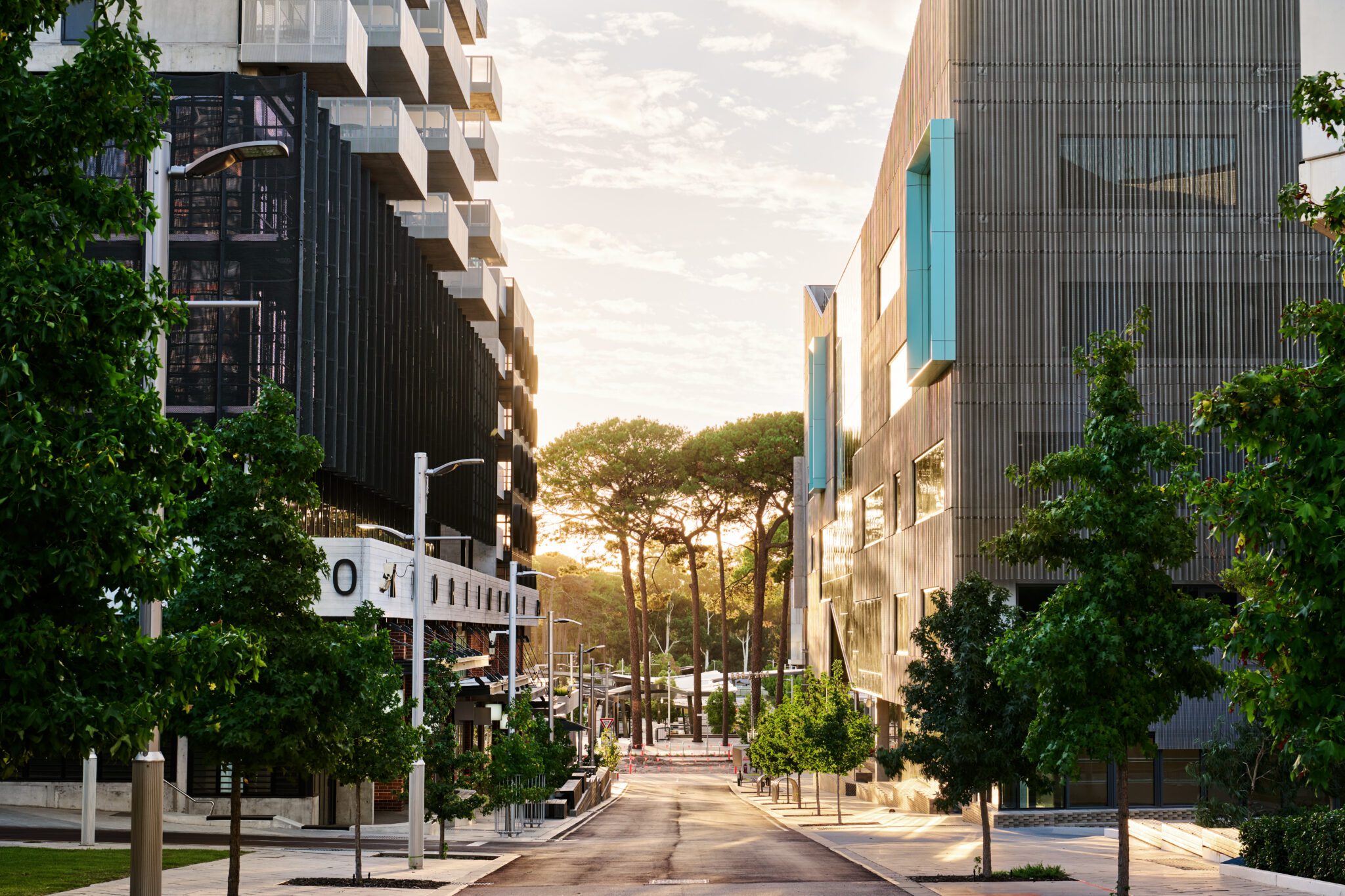 Image for Sustainability forum a major step in journey towards Net Zero