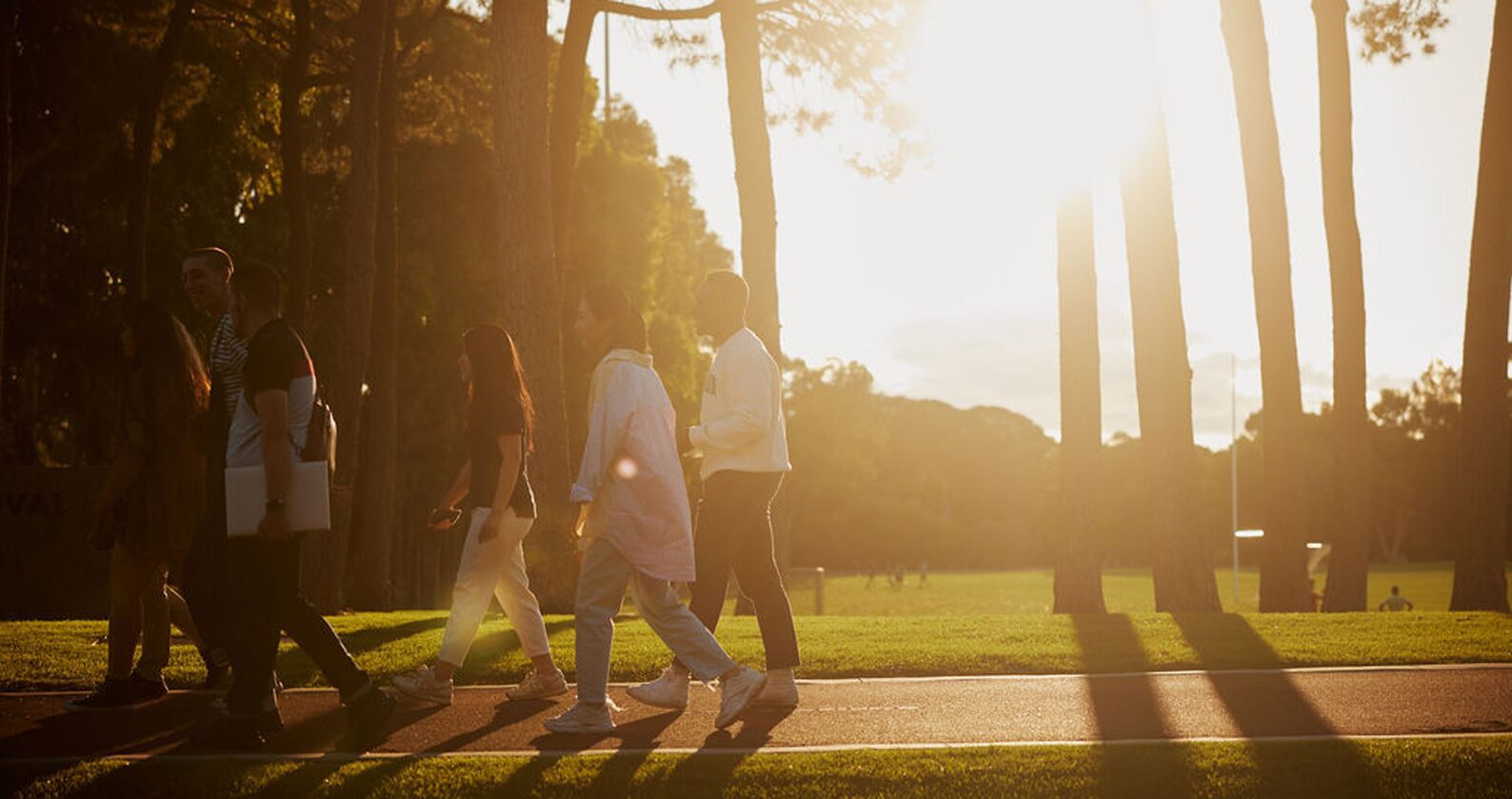 A group of students walking on a path in the sun,