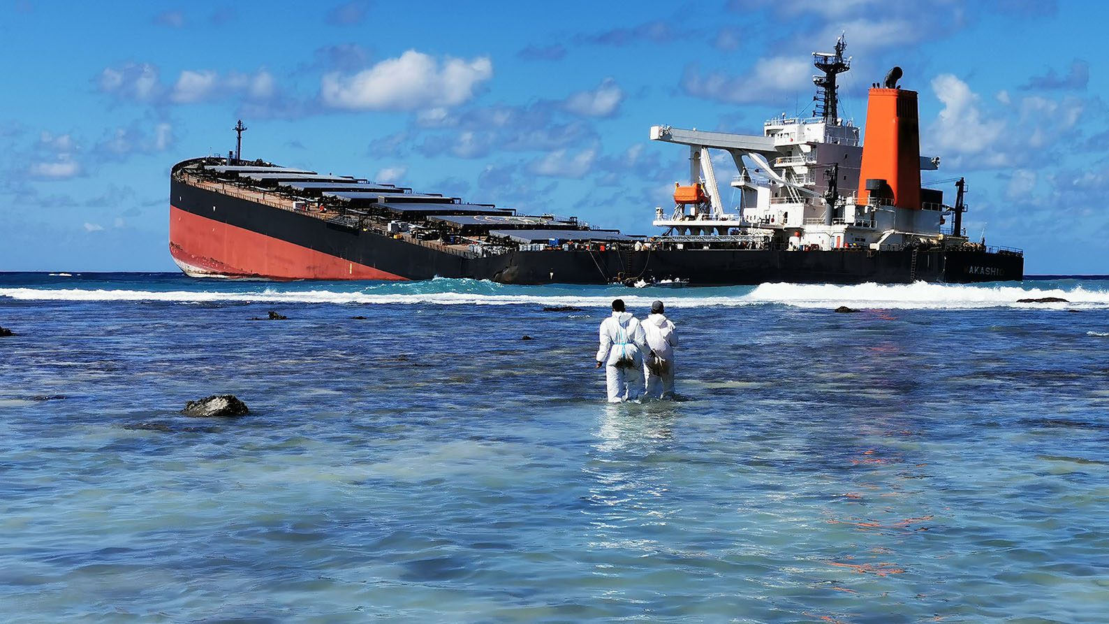 Image for Oil spill still contaminating sensitive Mauritius mangroves three years on