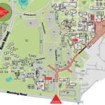 Temporary road closure: Manning Road entrance and Brand Drive south