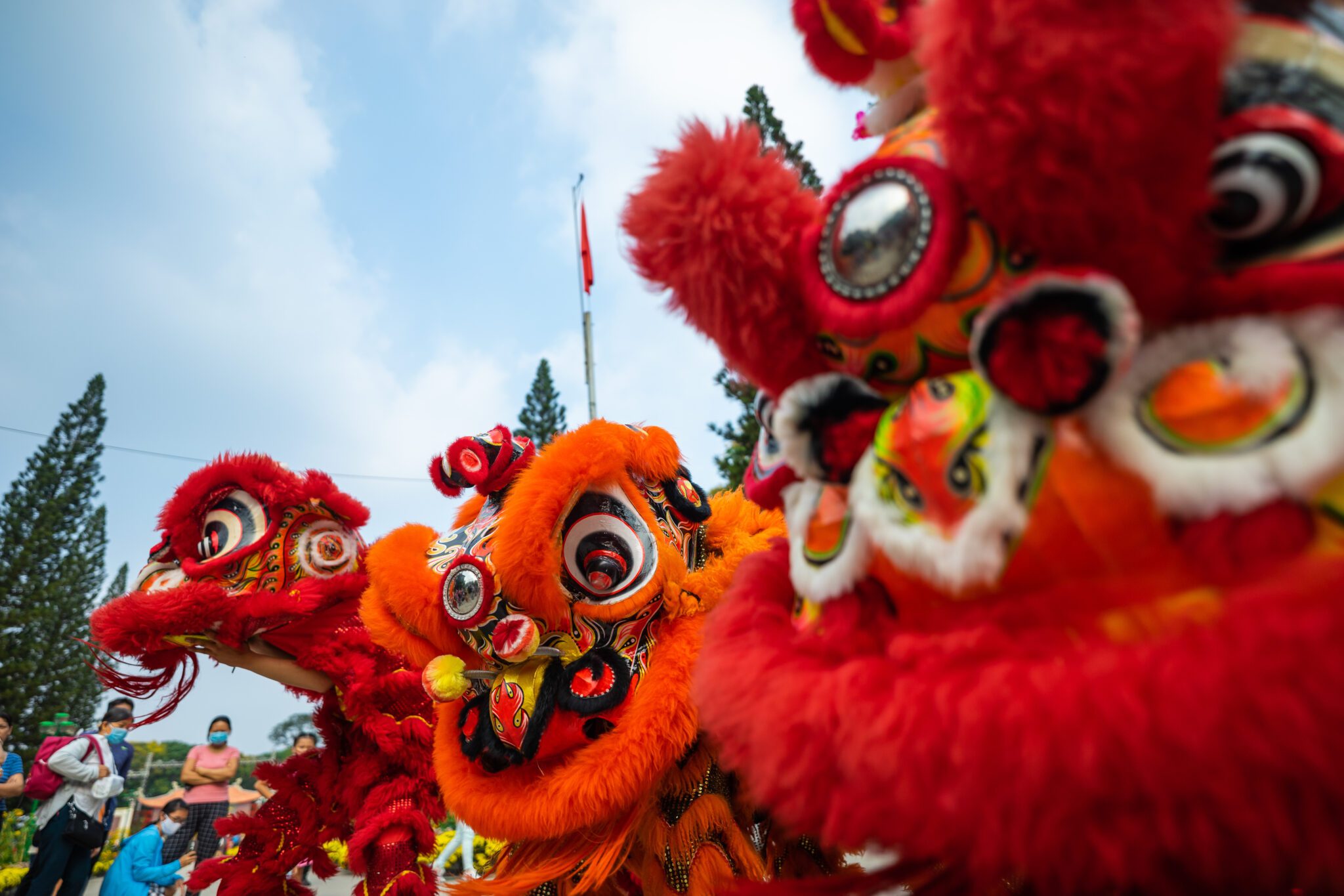 Dragon and lion dance show in Chinese New Year festival (Tet festival ), lion Dance - lion dance street performances in Vietnam