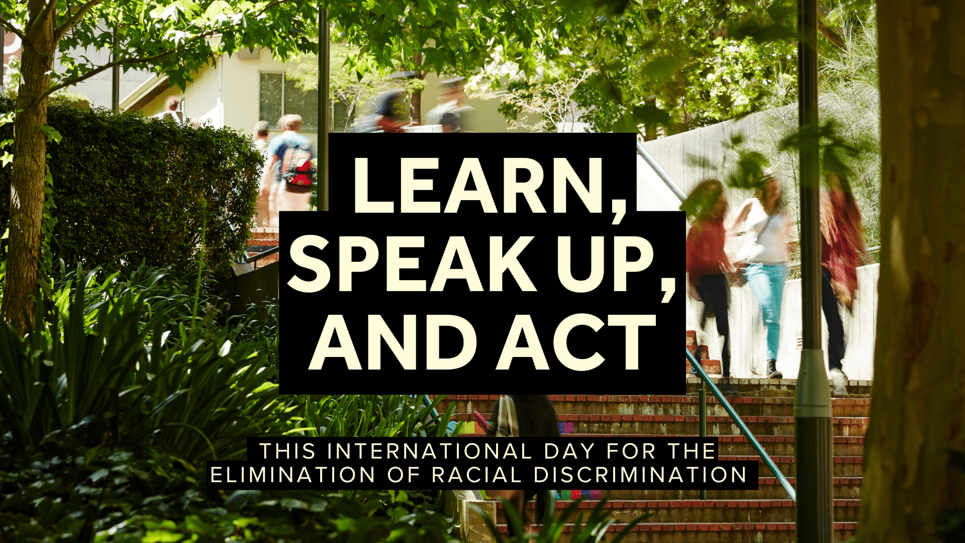 Banner that reads: Learn, Speak up, Act this International Day of the Elimination of Racial Discrimination.