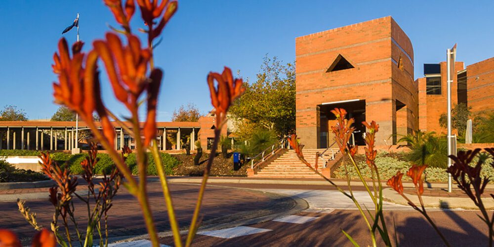 Trailblazer University Program unlocks $549 million from industry to accelerate Australia’s innovation agenda