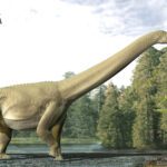 What Judy ate: unveiling a sauropod dinosaur’s last meal for the first time