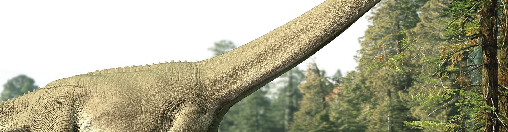 What Judy ate: unveiling a sauropod dinosaur’s last meal for the first time