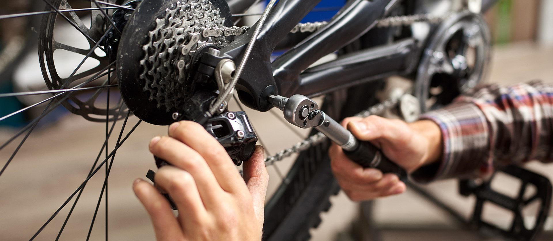 Image for Free bike check-ups on campus