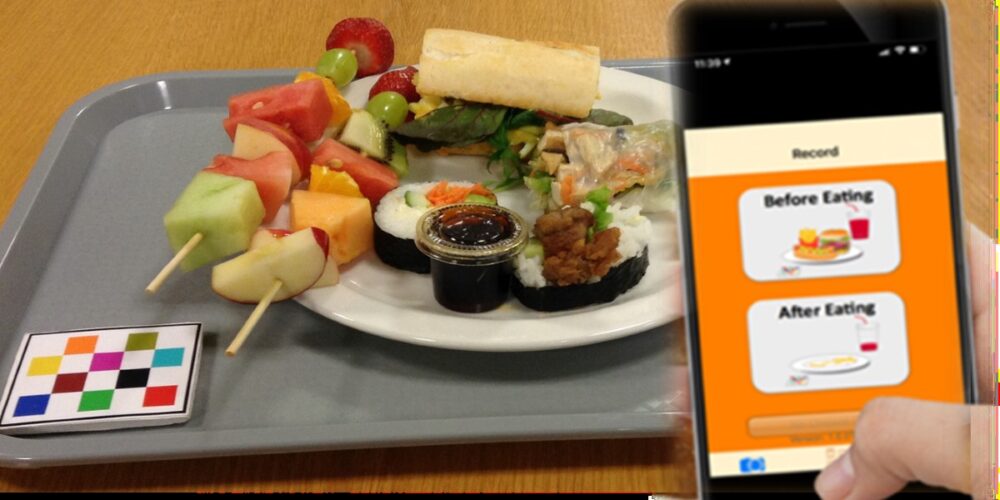 Food for thought: Plate photos help Australians track what they eat