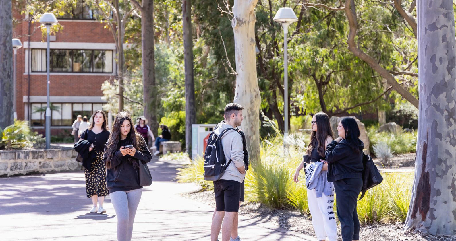 Image for Ransomware on campus: How it affects your studies