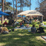 Image of pop-up picnic at Creative Quarter