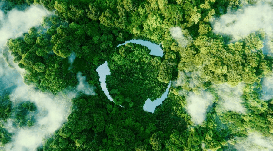Aerial view of a dense green forest arranged in the shape of a globe, with patches of mist drifting above the trees.
