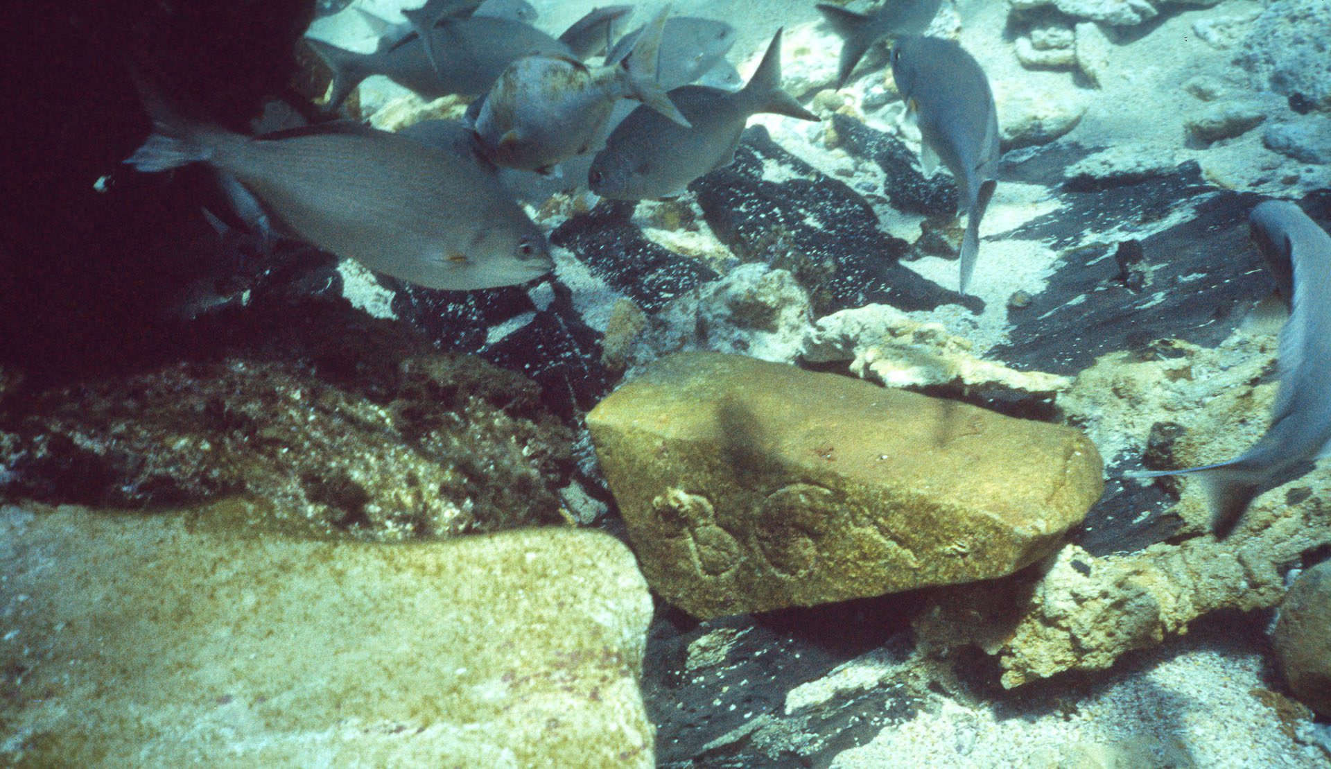 Image for Ancient shipwreck cargo reveals surprising global trade secrets of the 1600s
