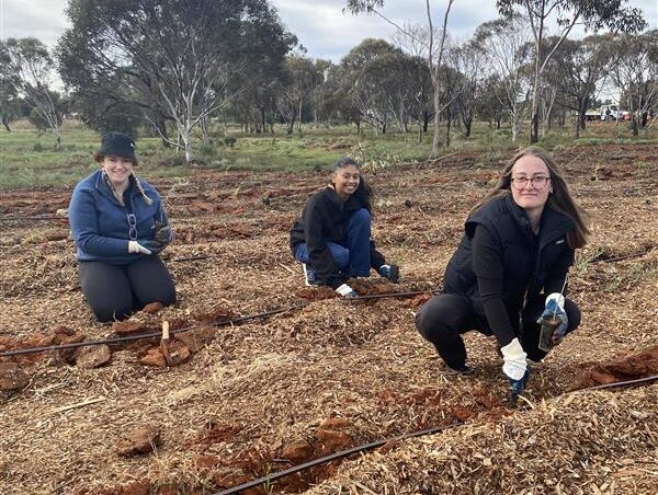 Image for Supporting a Greener Future at Kalgoorlie-Boulder Tree Planting Day 2026