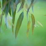 Join weekly meditation classes