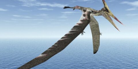 Aug 20 | Fossil Bites: Tiny clues from a lost world