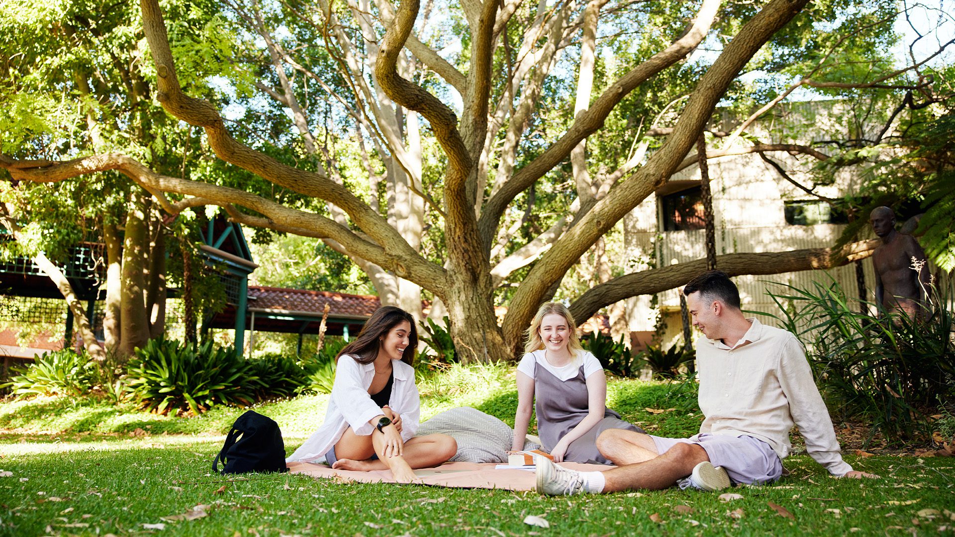 Group of students sitting on lawn on campus.
