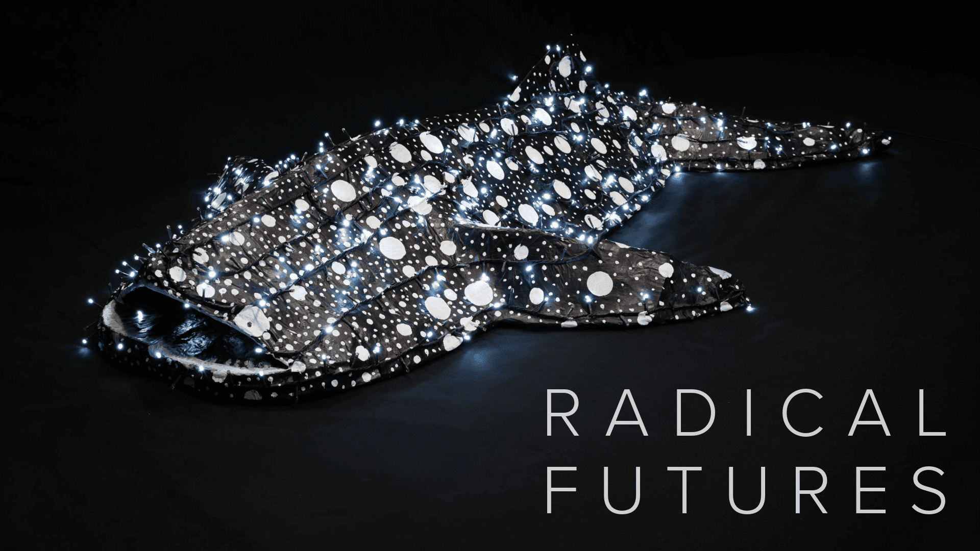 A photo of an artwork with the text Radical Features