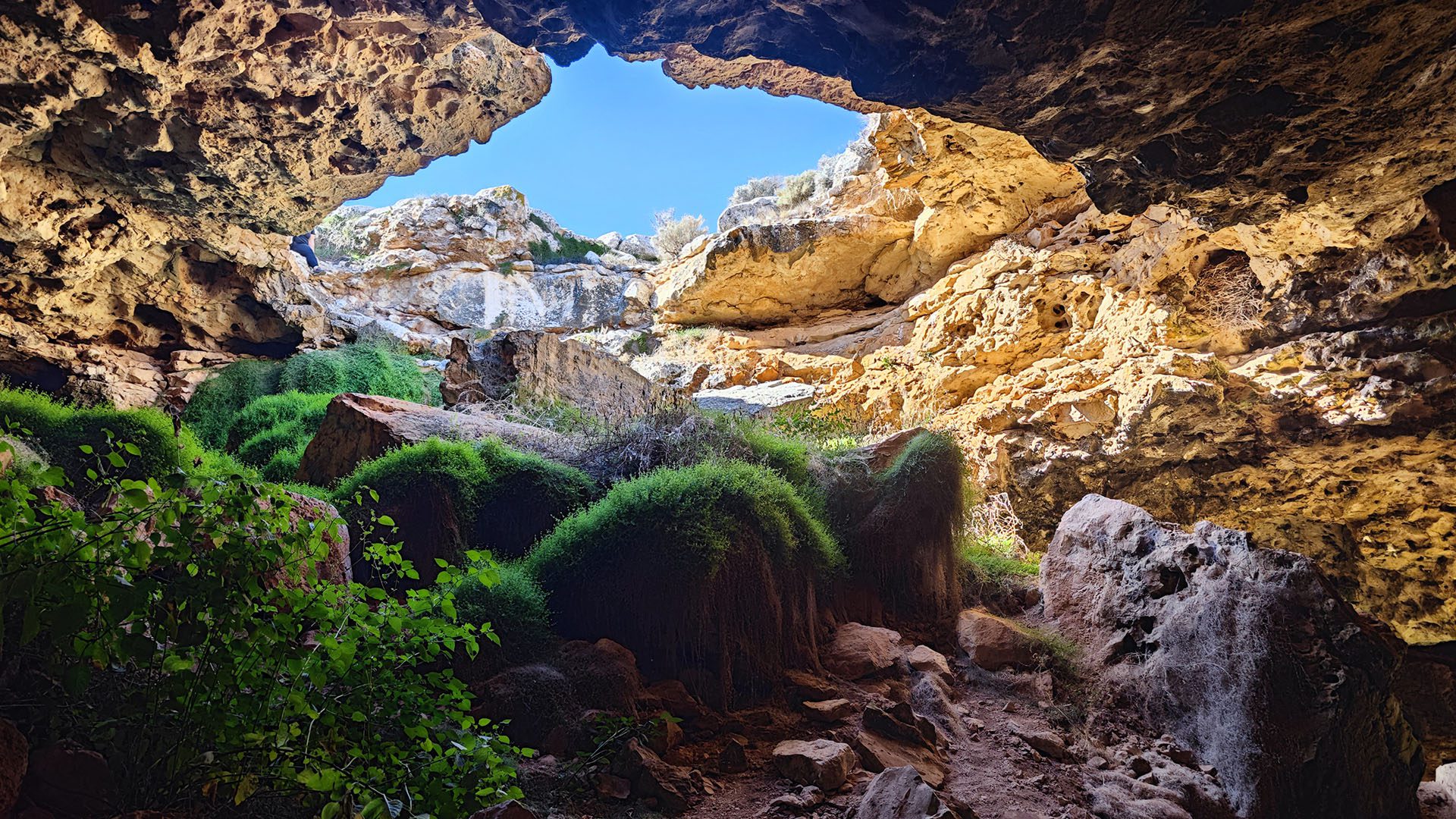 Image for Hidden caves beneath the Nullarbor revealed by subtle surface trenches