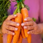 New online tool to help turn food waste into opportunity