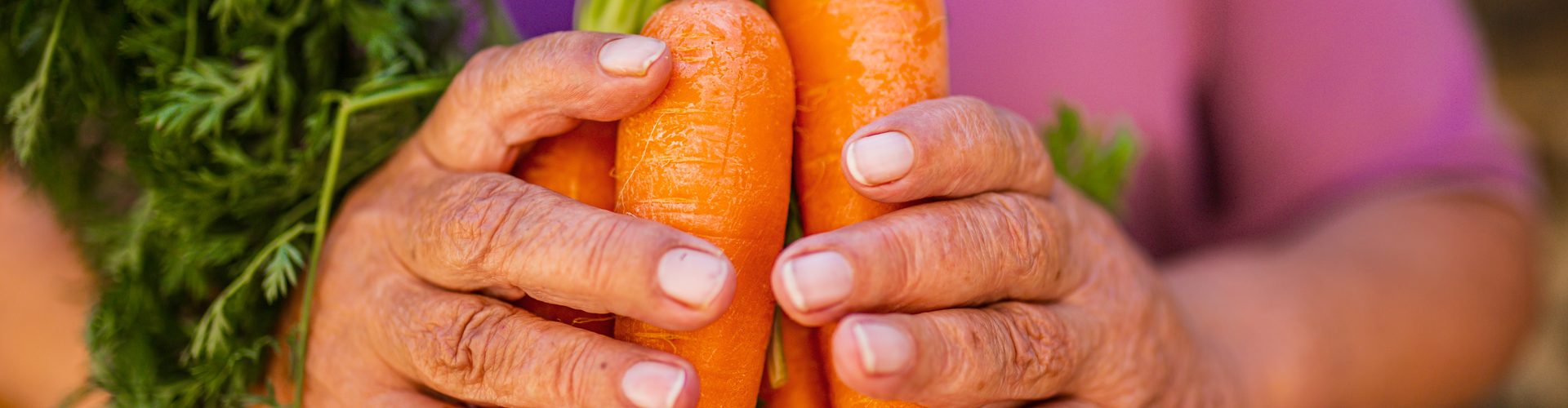 New online tool to help turn food waste into opportunity