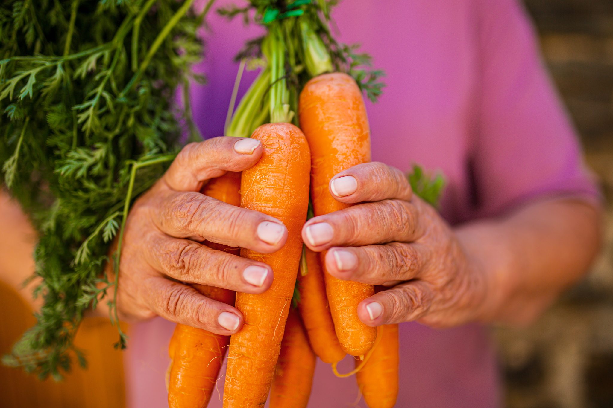 Image for New online tool to help turn food waste into opportunity