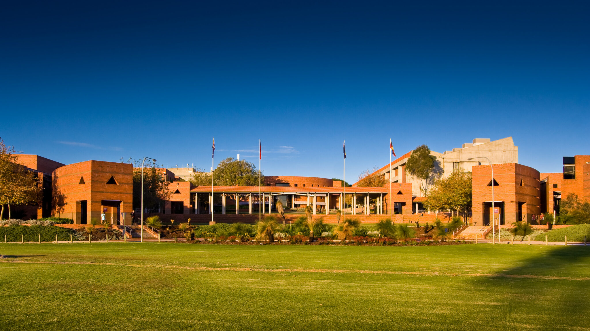 Image for Curtin opposes forced merger of universities