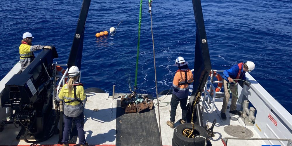 Listen up: 18 years of whale calls reveal key habitat of mysterious species