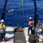 Listen up: 18 years of whale calls reveal key habitat of mysterious species