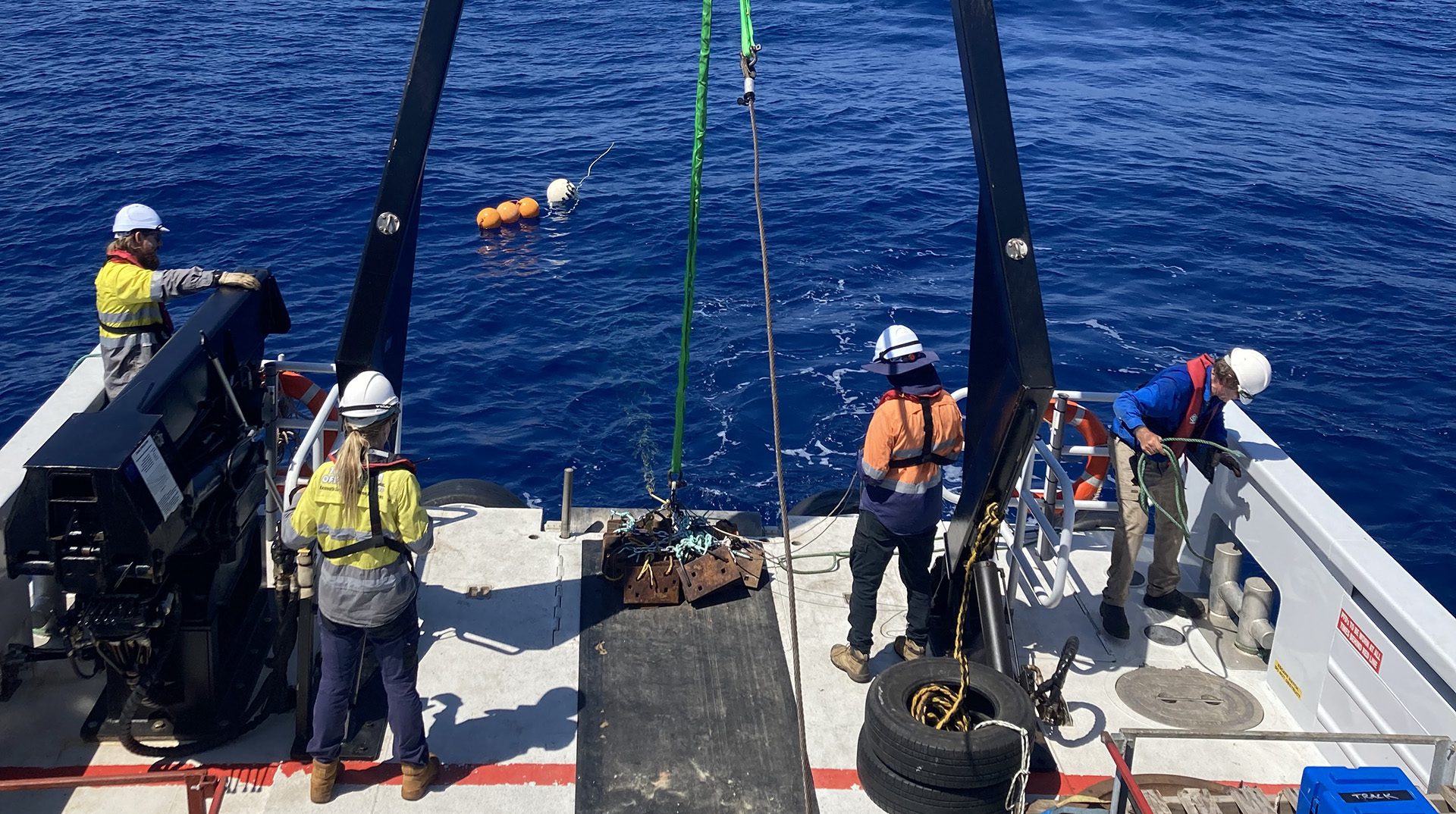 Image for Listen up: 18 years of whale calls reveal key habitat of mysterious species