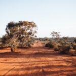 The road to discovery: DNA in the air maps WA biodiversity