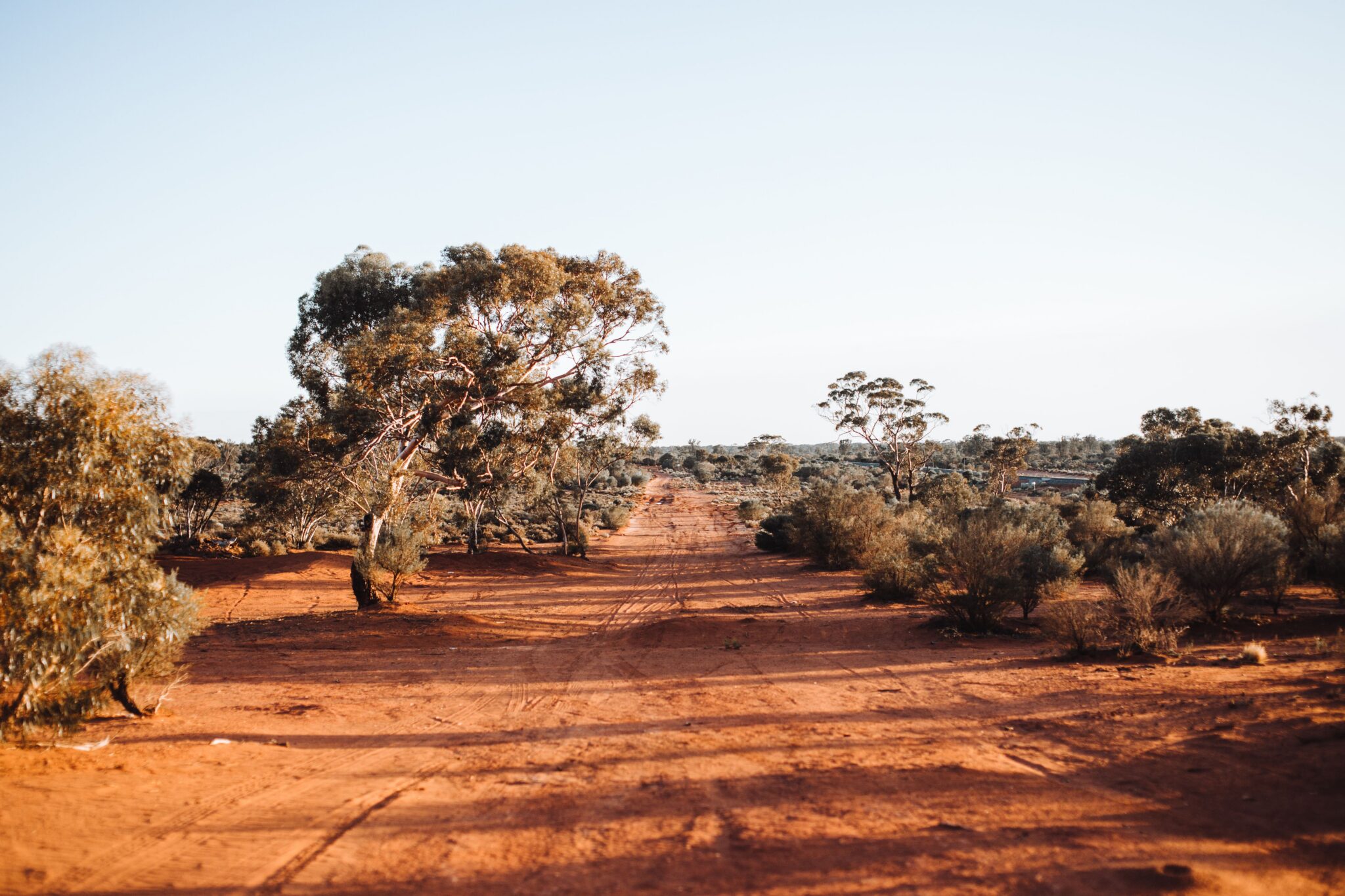 Image for The road to discovery: DNA in the air maps WA biodiversity