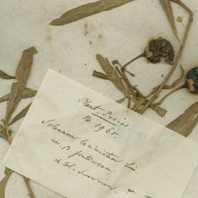 The botanist history forgot