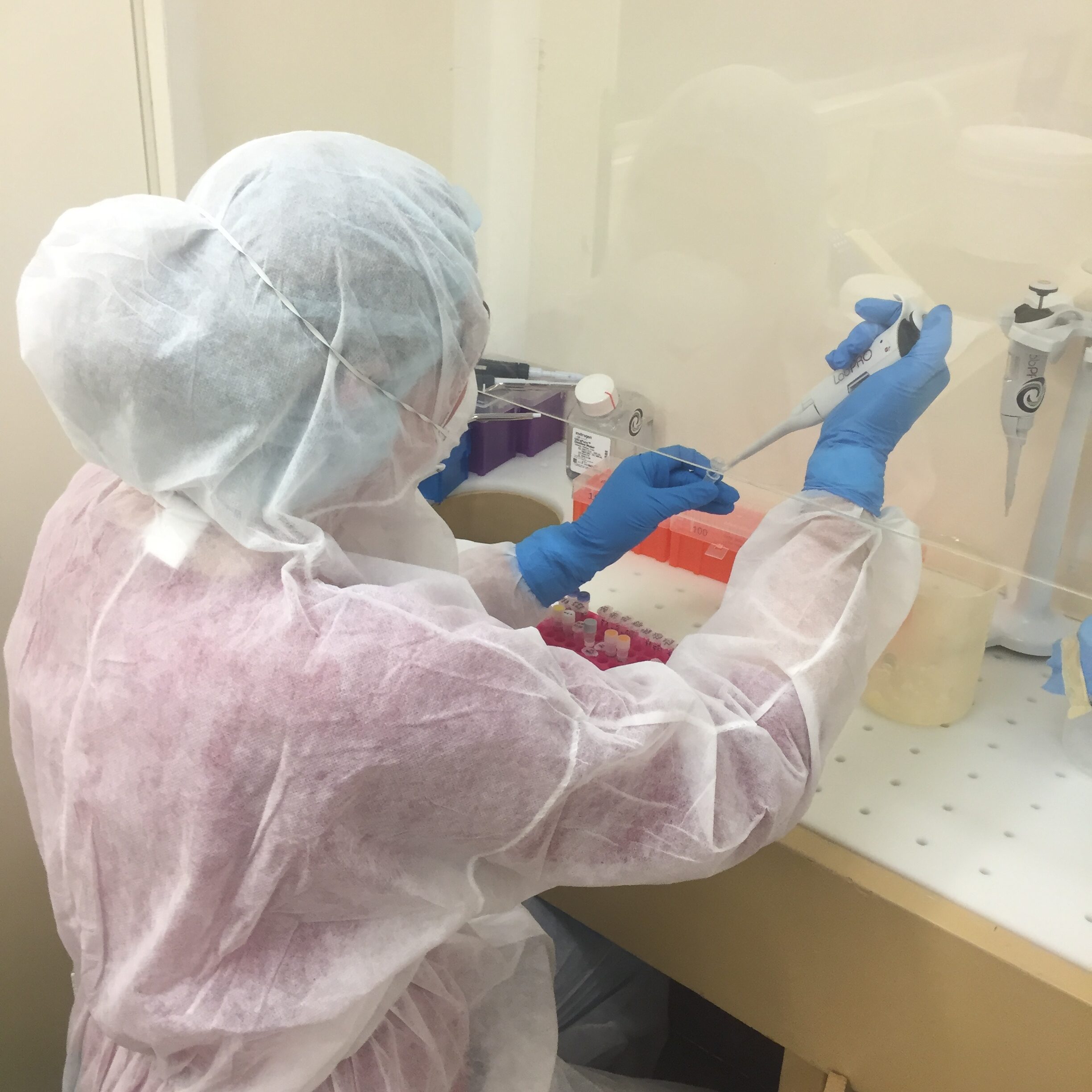 Our laboratories
