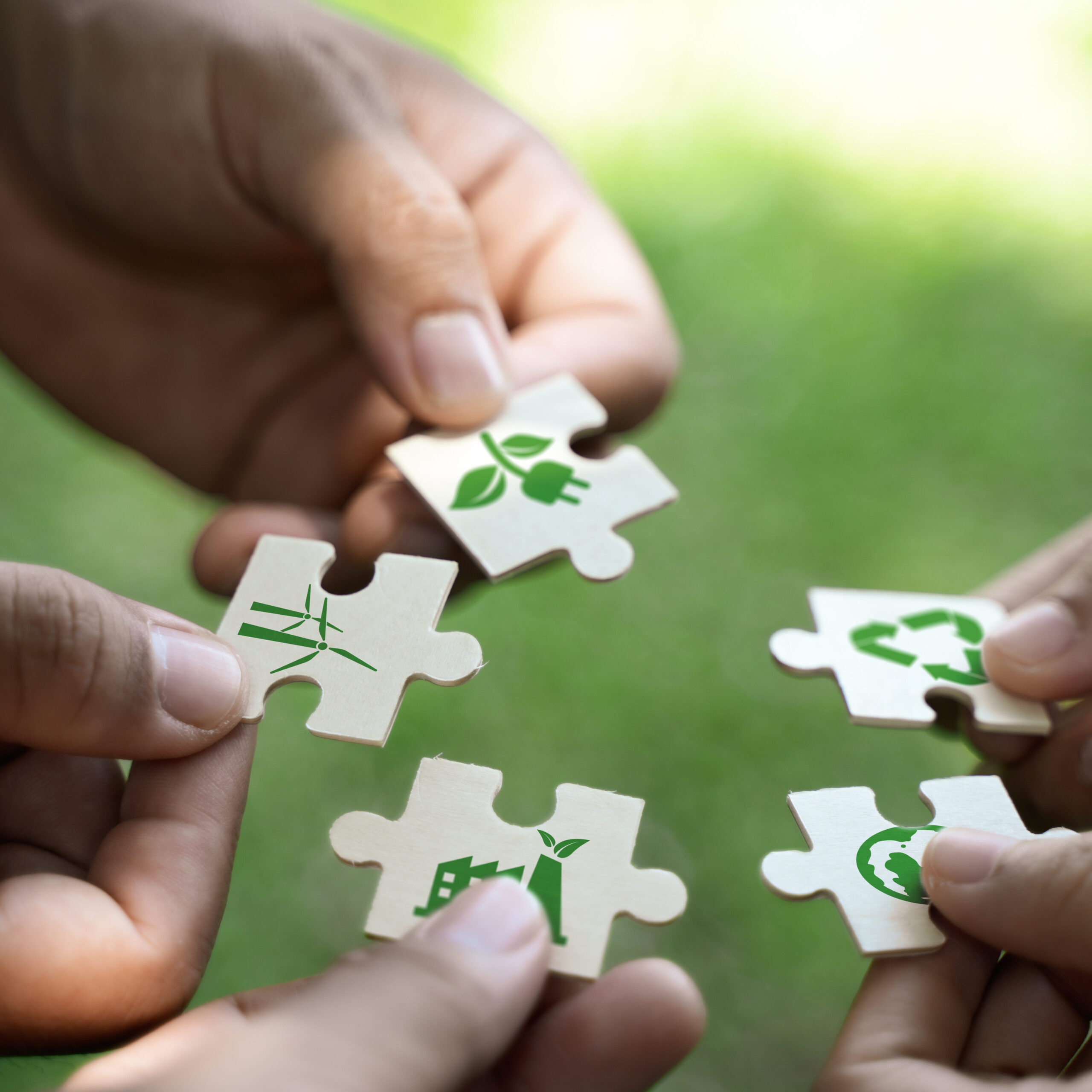 PhDs for the Planet: Meet the future leaders in sustainability research